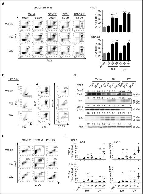 Lxr Agonist Treatment Of Blastic Plasmacytoid Dendritic Cell Neoplasm