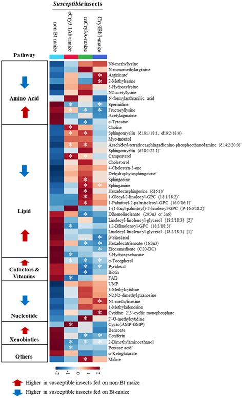 Heatmap Representing Differences In The Levels Of Identified