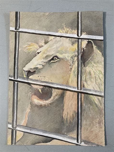 Very Nice Drawing Lion Cage Gouache Paper 1950 Animal To Identify