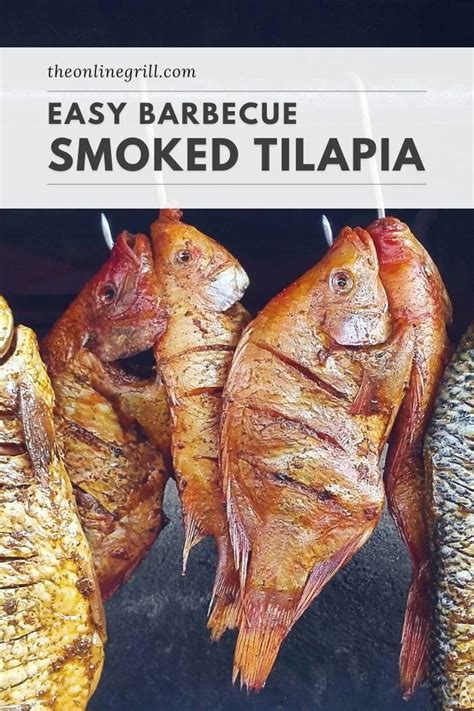 Smoked Tilapia Recipe Guide Theonlinegrill