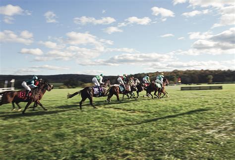 steeplechase race - An Equestrian Life