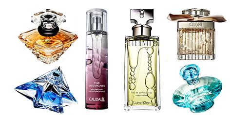 Top 5 Sexiest Womens Perfume Natividad Mcghee