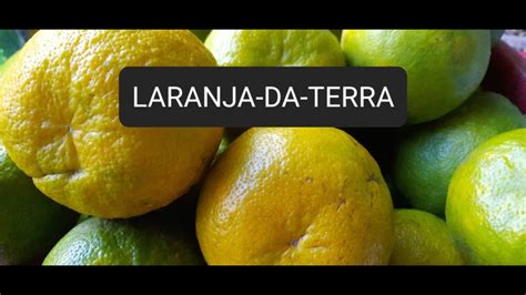 Laranja Da Terra Youtube