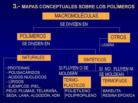 Arriba 39 Imagen Mapa Mental De Las Macromoleculas Abzlocal Mx