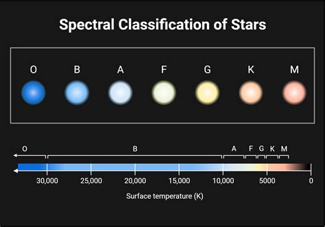 Spectral Classification Of Stars BioRender Science Templates