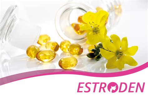 Evening Primrose Oil Benefits Skin Hormones And Wellness Estroden