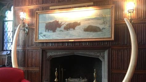 11 Awesome Things You Can See At The Explorers Club Mental Floss