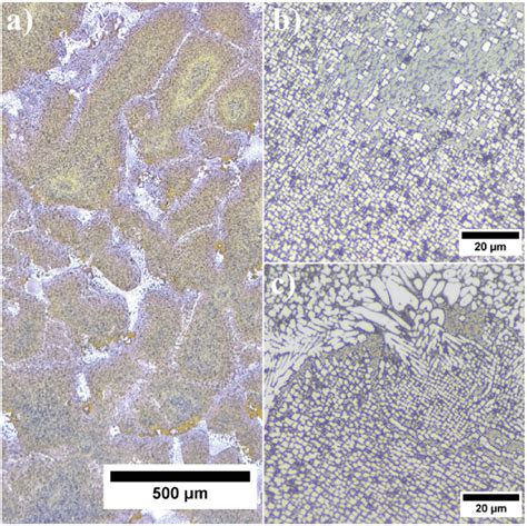 Inhomogeneous Microstructure Of Ren Superalloy A Dendritic