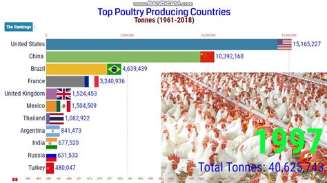 Top Poultry Producing Countries 1961 2018 Production Of Poultry Meat