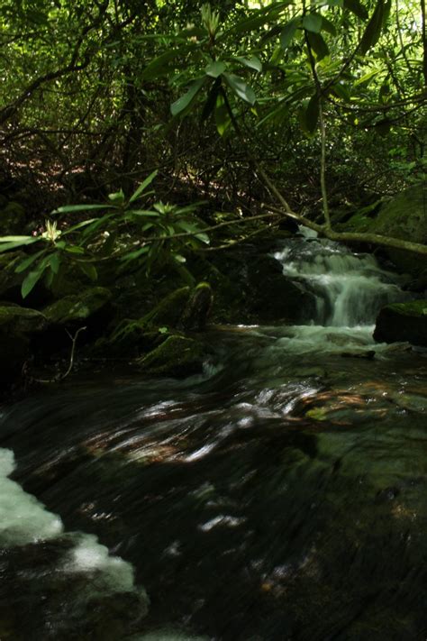 Waterfalls Galore at This Popular Trail in The Blue Ridge Mountains ...