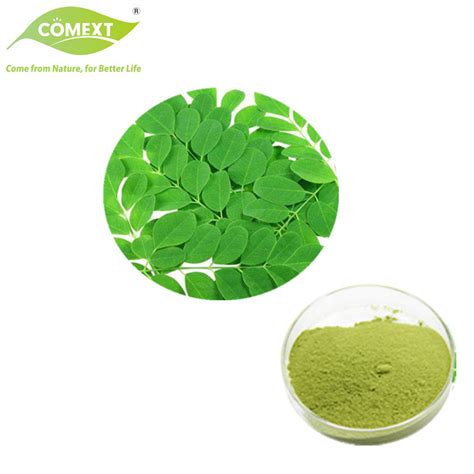 100 Pure Natural Plant Extract Moringa Oleifera Powder Moringa Extract