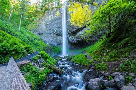 20 Waterfalls in Oregon To Visit in 2024