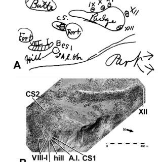 Body size comparison of mega-and super-sauropods. See text for lengths.... | Download Scientific ...