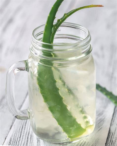 Aloe Vera For Acid Reflux: Does it help? - Healthier Steps