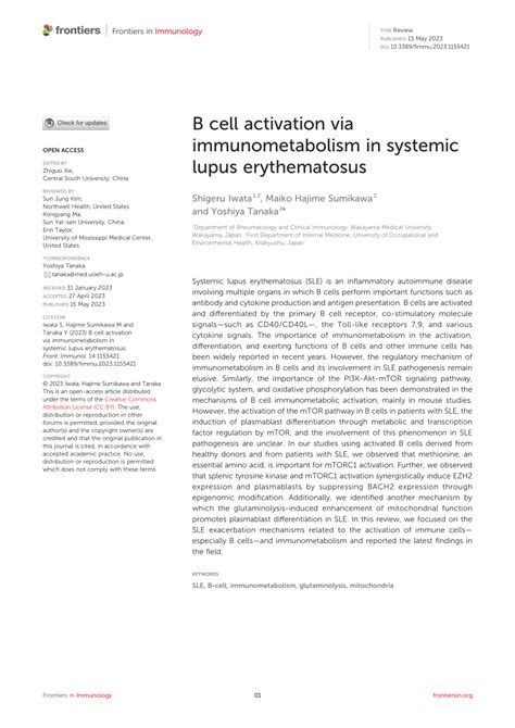 Pdf B Cell Activation Via Immunometabolism In Systemic Lupus