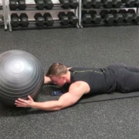 Prone Ball Raises Keep Legs On Ground By 𝔻𝕖𝕤𝕖𝕣𝕥 𝔽𝕠𝕩🦊 🌟 Exercise How