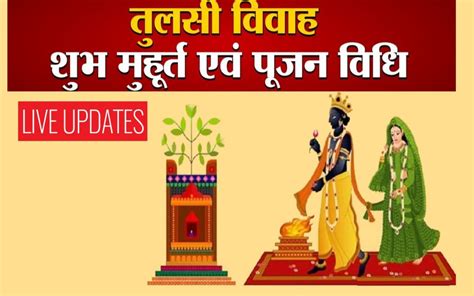 Tulsi Vivah 2022 Puja Vidhi Muhurat Live तुलसी विवाह आज जानें शुभ मुहूर्त पूजा विधि और मंत्र