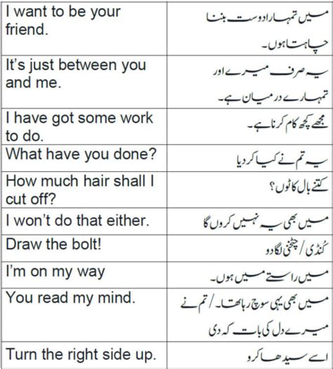 Do Translation From English To Urdu Punjabi Arabic By Dn Ayesha Butt