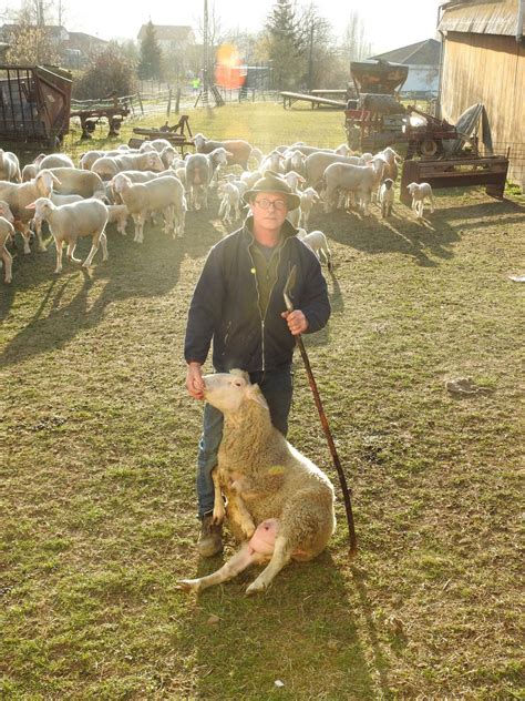 GRAND NANCY Élevage Rémy Simonin au salon de lagriculture avec ses