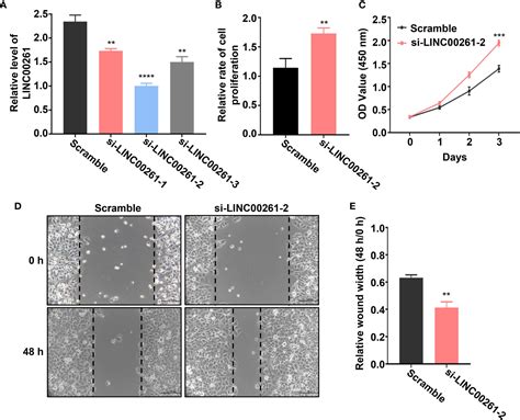 Frontiers Fucoidan Inhibits The Progression Of Hepatocellular