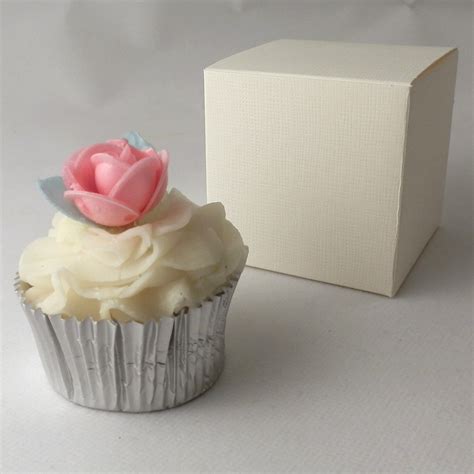 Cupcake Boxes For 1 Cupcake Cupcake Shop Design Plain Canopy Pack Of 4