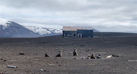 Postcard from Antarctica: First landing at Whaler's Bay, Deception Island