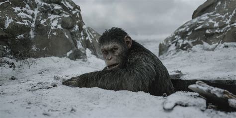 Review: WAR FOR THE PLANET OF THE APES (2017) - cinematic randomness