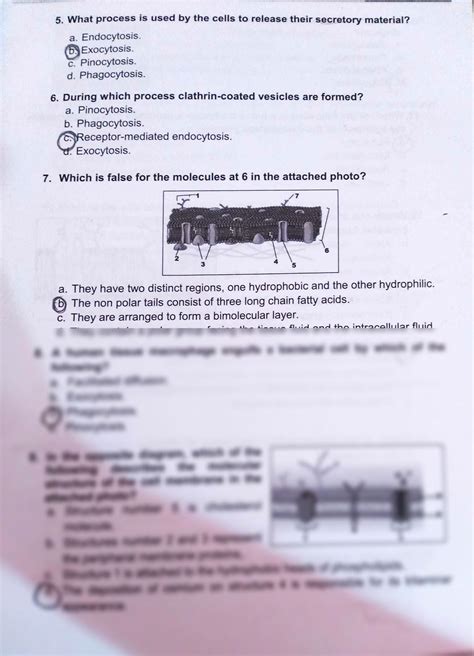 Solution Histology Cell Mcq Studypool