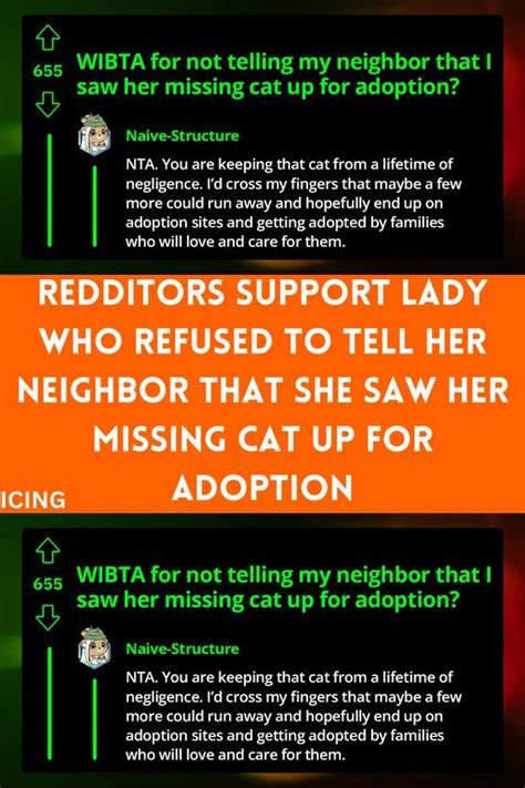 Redditors Support Lady Who Refused To Tell Her Neighbor That She Saw Her Missing Cat Up For