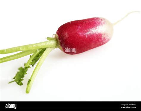 Pink Radish Raphanus Sativus Against With Background Stock Photo Alamy