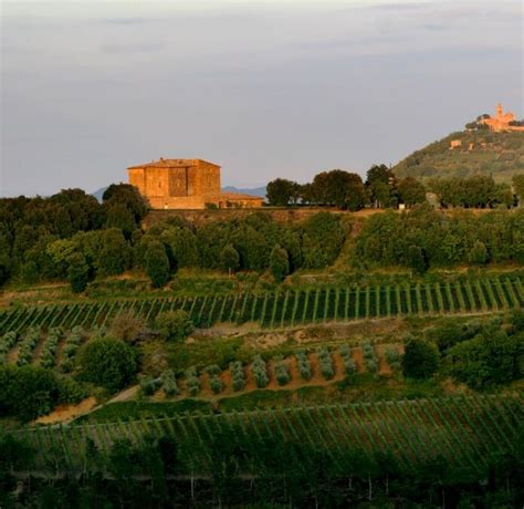 Castello Romitorio De Burgh Wine Merchants