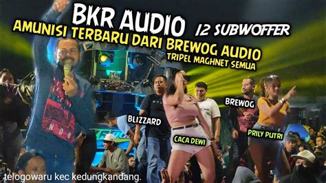 Amunisi Terbaru Dari Brewog Spek Nya Gak Main X Sub Bkr Audio