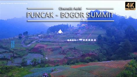 Drone Dari Langit PUNCAK BOGOR 4K CINEMATIC AERIAL DRONE FOOTAGE