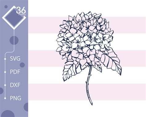 Hydrangea Flower Svg Etsy