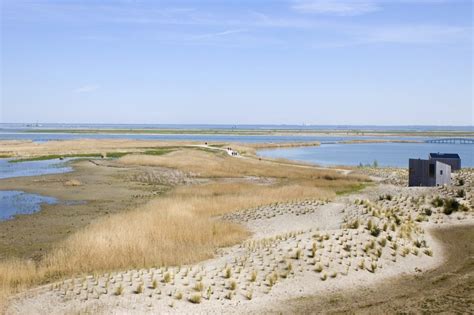 Marker Wadden Wandelen Over Een Piepjong Eiland