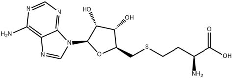 Deoxy S Adenosyl L Homocysteine H Nmr