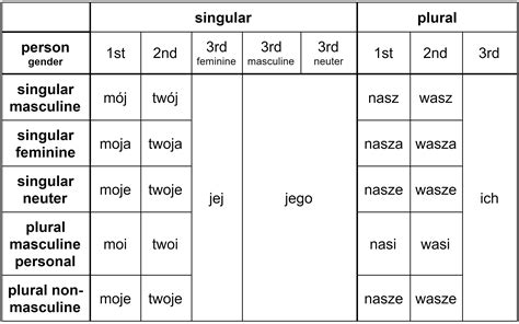 The No-Nonsense Guide to Polish Possessive Pronouns - Clozemaster