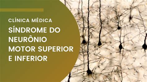 Doença Do Neurônio Motor - 8