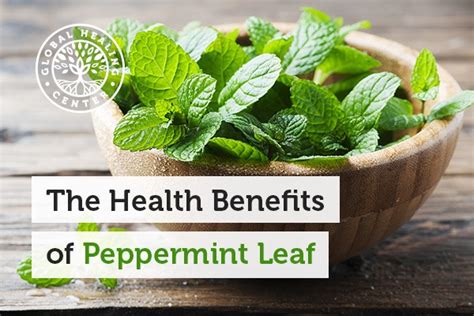 The Health Benefits Of Peppermint Leaf Dr Eddy Bettermann Md