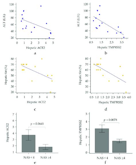 Hepatic Ace2 And Tmprss2 According To The Amount Of Steatosis A B And