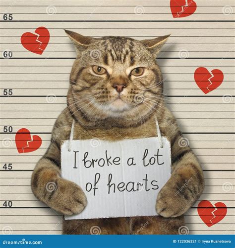 216 Pictures Bad Hearts Stock Photos Free And Royalty Free Stock Photos