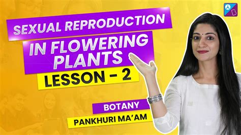 Neet Questions Series Chapter 2 Sexual Reproduction In Flowering Plants