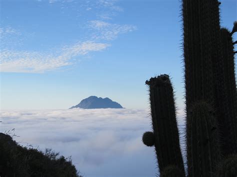 Galería Cerro La Campana Andeshandbook