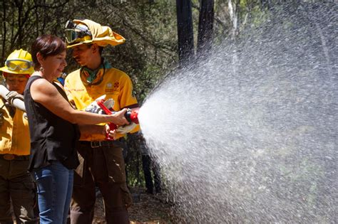 Suman Fuerzas Instituciones Para El Combate De Incendios Forestales En La Ciudad De México