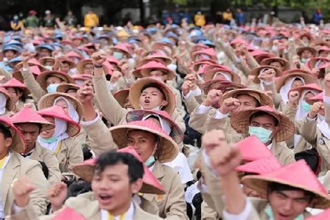 Ugm Sediakan Kursi Snbp Berikut Daftar Jurusan Di Ugm Sepi