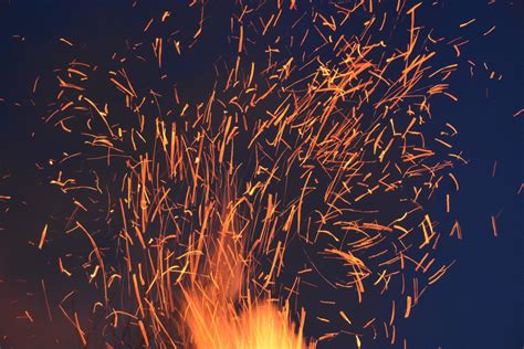 Free Images Branch Sky Night Sunlight Flower Sparkler Spark