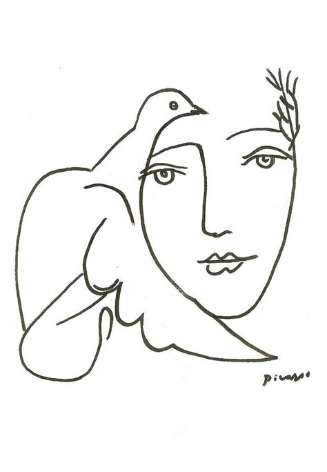 Picasso Contour Drawings | ubicaciondepersonas.cdmx.gob.mx