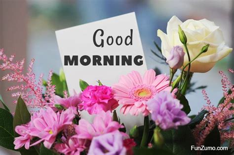 35 Best Good Morning Flowers Images Funzumo