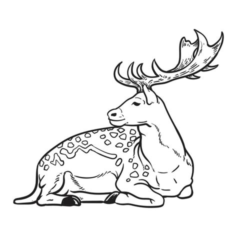 Deer Laying Down: Over 52 Royalty-Free Licensable Stock Illustrations ...