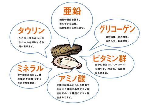 今晩のメニューに牡蠣料理はいかが？栄養満点の牡蠣の食べ方と注意点 Ikumama｜ママライフを楽しもう